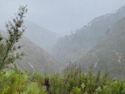 HABITAT